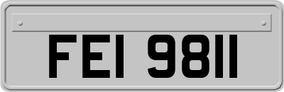 FEI9811