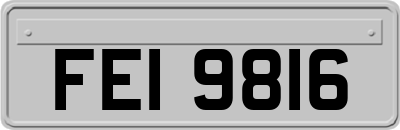 FEI9816