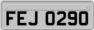 FEJ0290