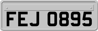 FEJ0895