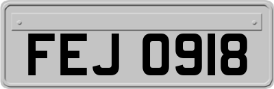 FEJ0918