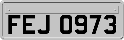 FEJ0973