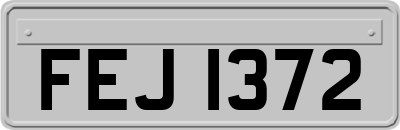 FEJ1372