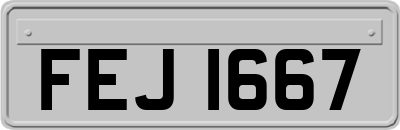 FEJ1667