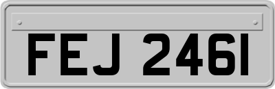 FEJ2461