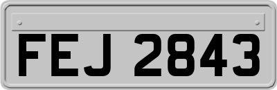 FEJ2843