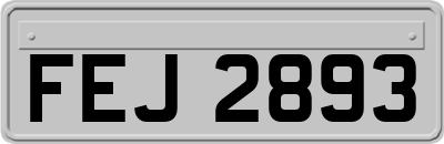 FEJ2893