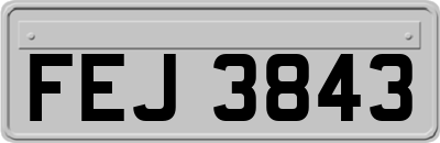 FEJ3843