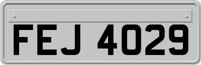 FEJ4029
