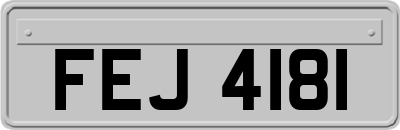 FEJ4181