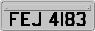 FEJ4183