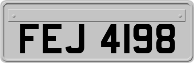 FEJ4198
