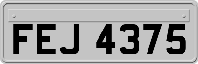 FEJ4375