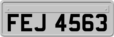 FEJ4563