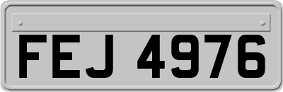 FEJ4976