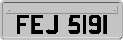 FEJ5191