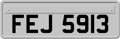 FEJ5913