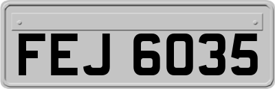 FEJ6035
