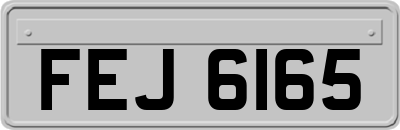 FEJ6165
