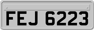 FEJ6223