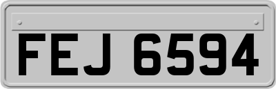 FEJ6594