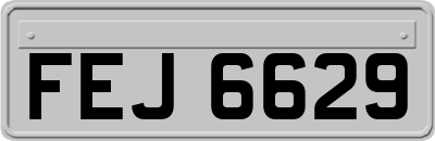 FEJ6629