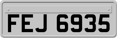 FEJ6935