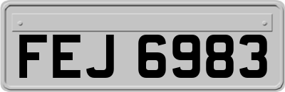 FEJ6983