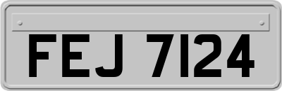 FEJ7124
