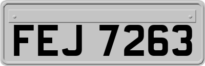 FEJ7263