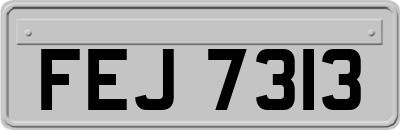 FEJ7313