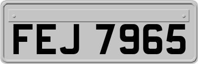 FEJ7965
