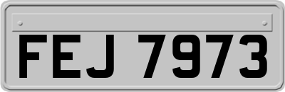 FEJ7973