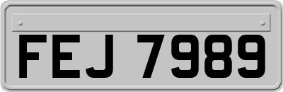 FEJ7989