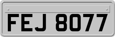 FEJ8077