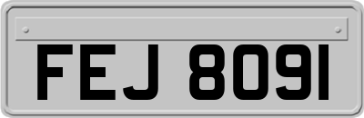 FEJ8091