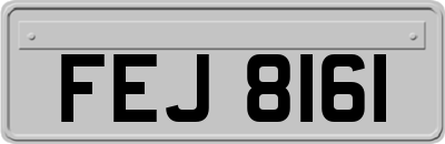 FEJ8161