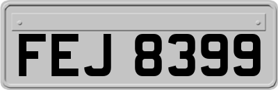 FEJ8399