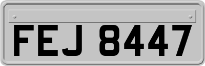 FEJ8447