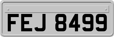 FEJ8499