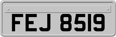 FEJ8519
