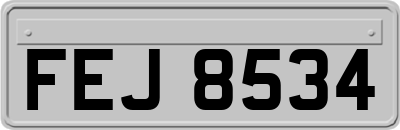 FEJ8534