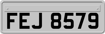 FEJ8579