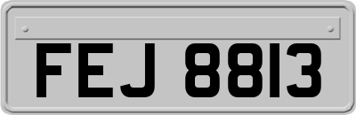 FEJ8813