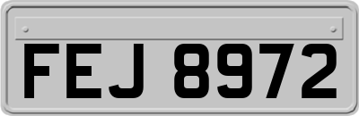 FEJ8972