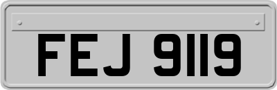 FEJ9119
