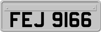FEJ9166