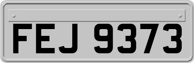 FEJ9373