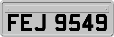 FEJ9549