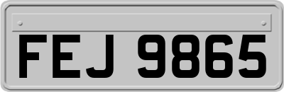 FEJ9865